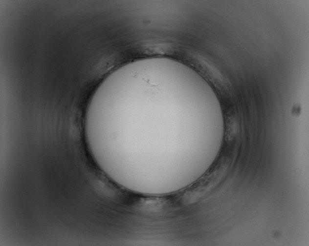 X0000102830414200809021318