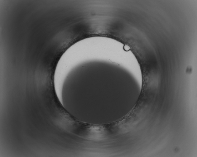 X0000102830415200809021318