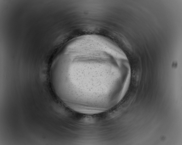 X0000102830416200809021318