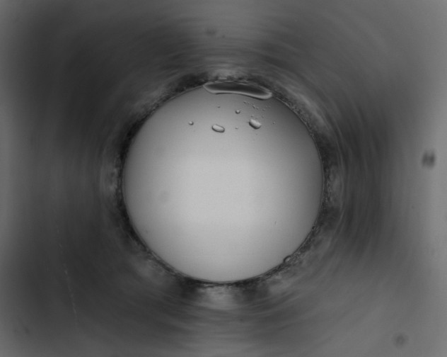 X0000102830417200809021318