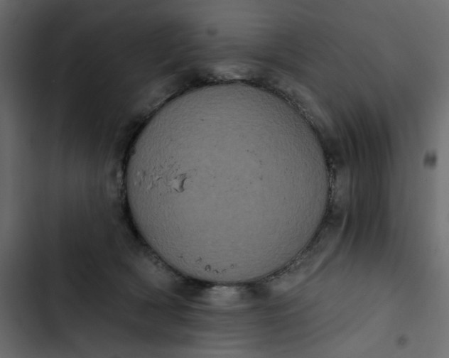 X0000102830418200809021318