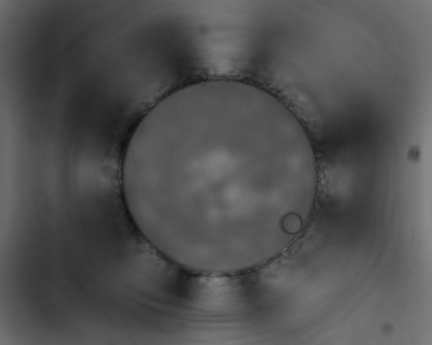 X0000102830419200809021318