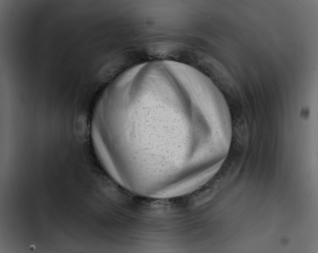 X0000102830420200809021318