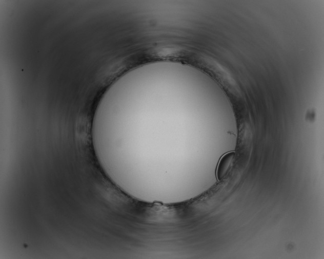 X0000102830421200809021318