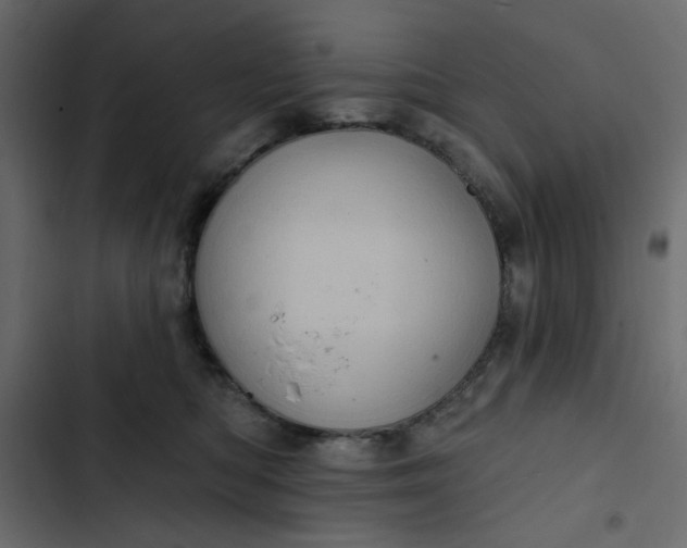 X0000102830422200809021318