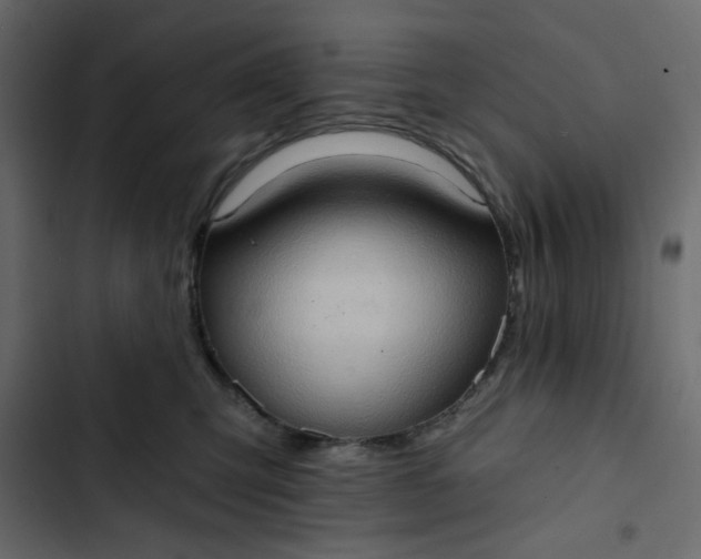 X0000102830423200809021318