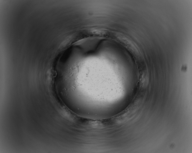 X0000102830424200809021318