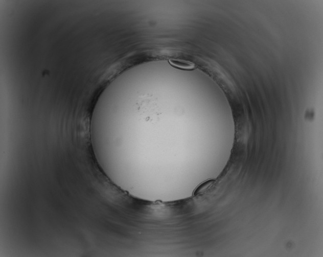 X0000102830425200809021318