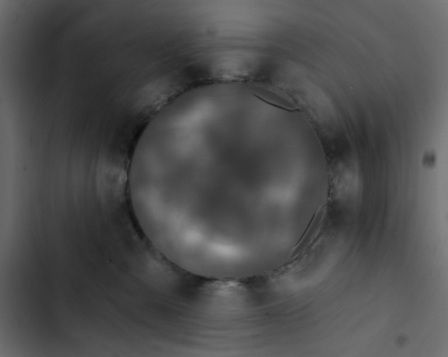 X0000102830427200809021318