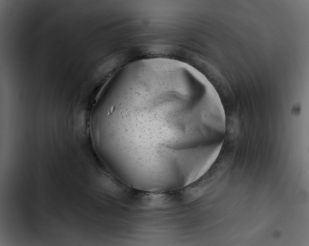 X0000102830428200809021318