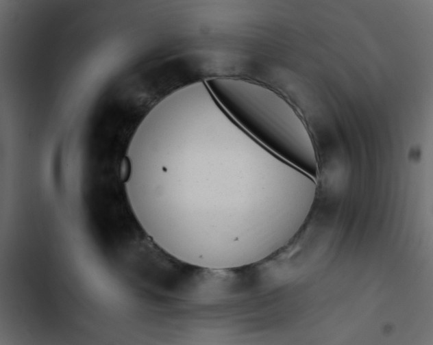 X0000102830429200809021318