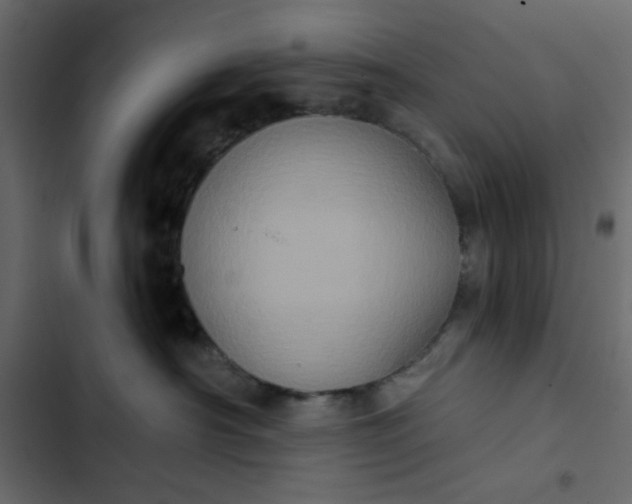 X0000102830430200809021318