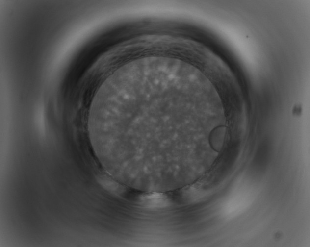 X0000102830431200809021318