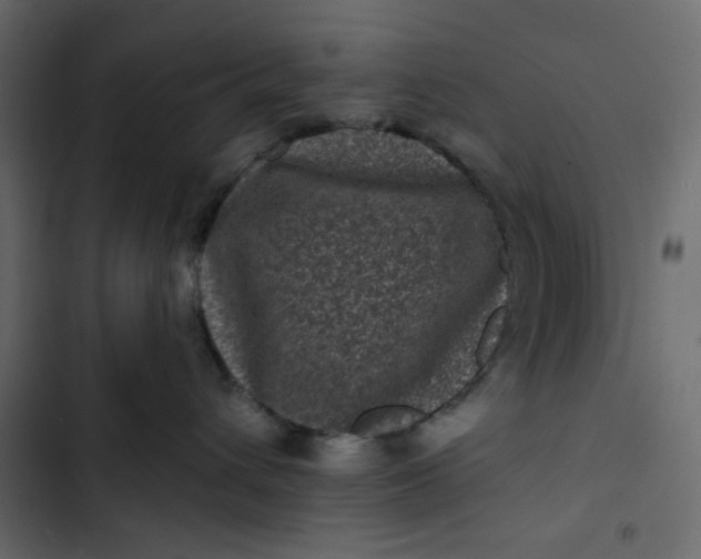 X0000102830432200809021317