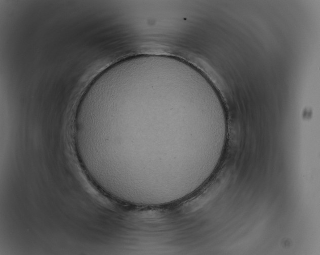 X0000102830433200809021317