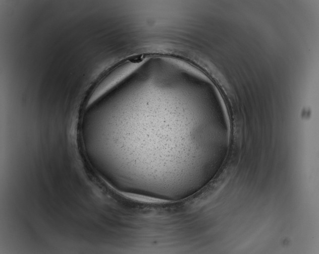 X0000102830434200809021317