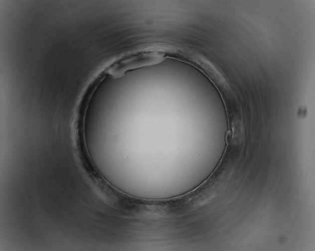 X0000102830436200809021317