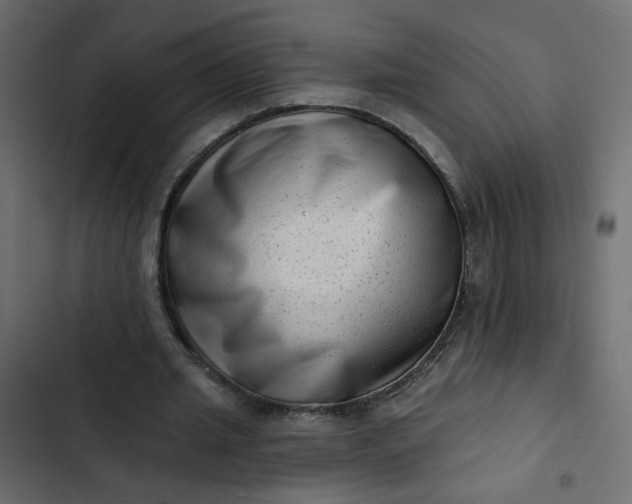 X0000102830437200809021317