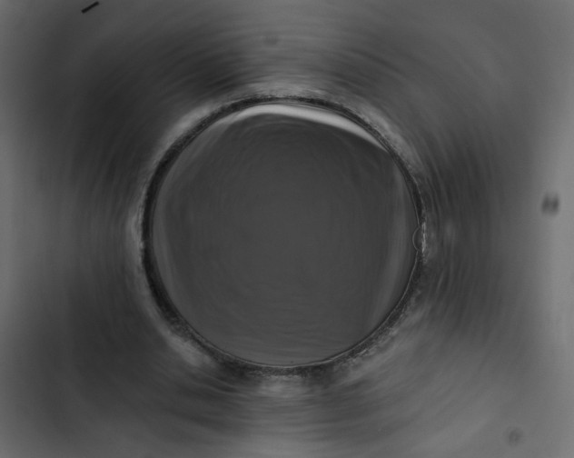 X0000102830438200809021317