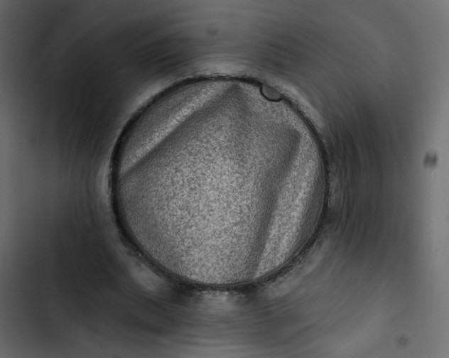 X0000102830439200809021317