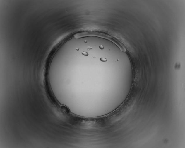 X0000102830440200809021317