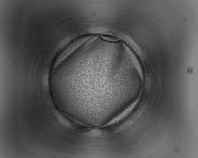 X0000102830441200809021317