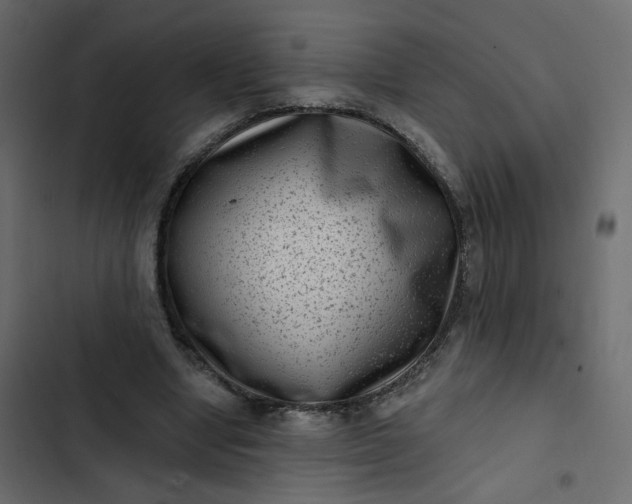 X0000102830442200809021317