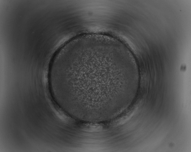 X0000102830443200809021317