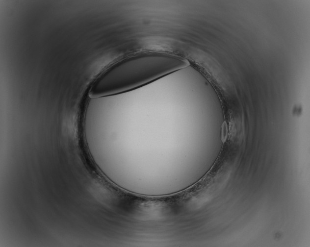 X0000102830444200809021317