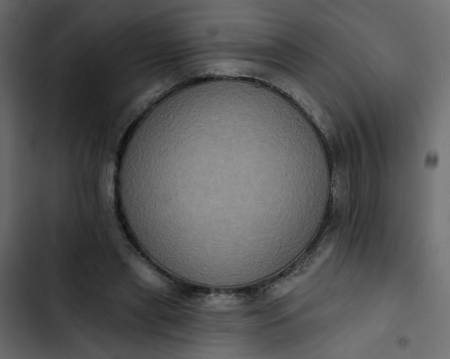 X0000102830445200809021317