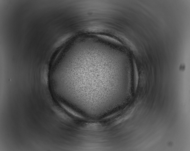 X0000102830446200809021317