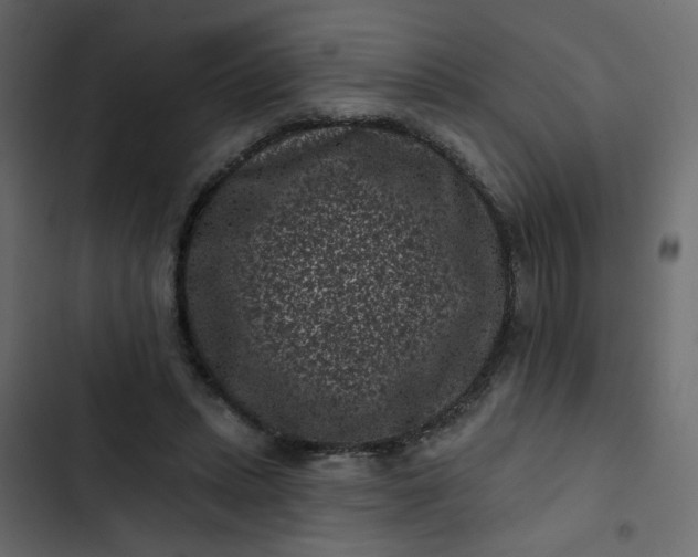 X0000102830447200809021317