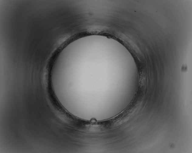 X0000102830448200809021317