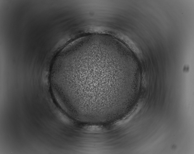 X0000102830449200809021317