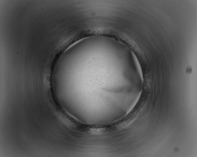 X0000102830450200809021317