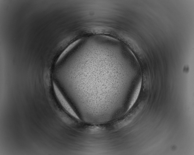 X0000102830453200809021317