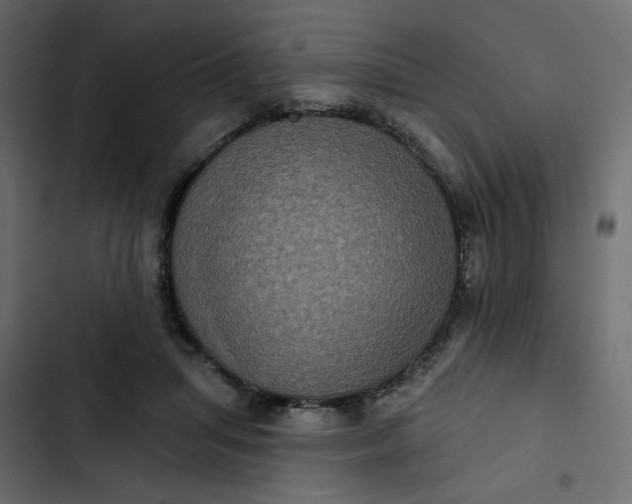 X0000102830455200809021317