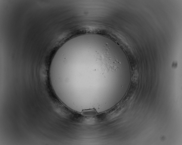 X0000102830456200809021317