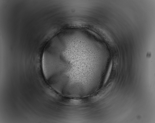 X0000102830457200809021317