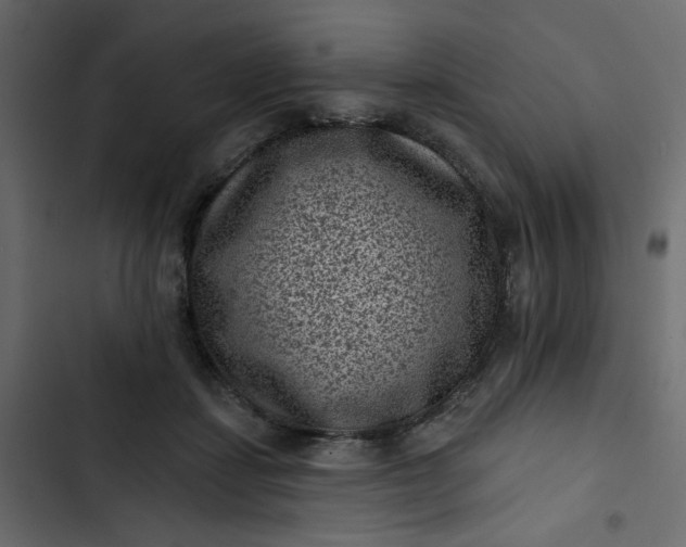 X0000102830459200809021317