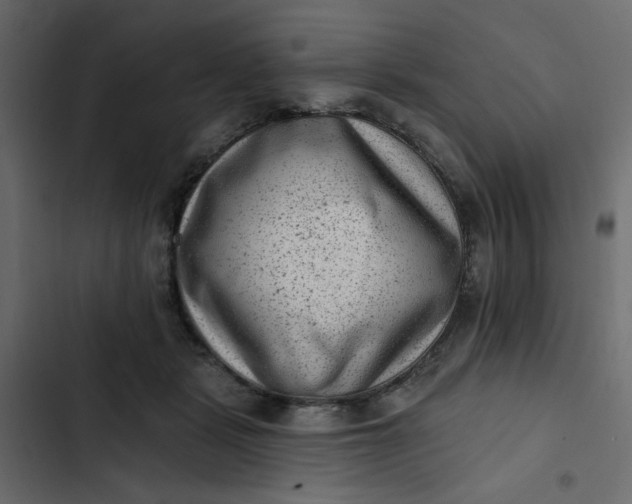 X0000102830461200809021317