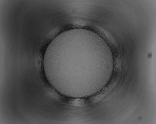 X0000102830463200809021317