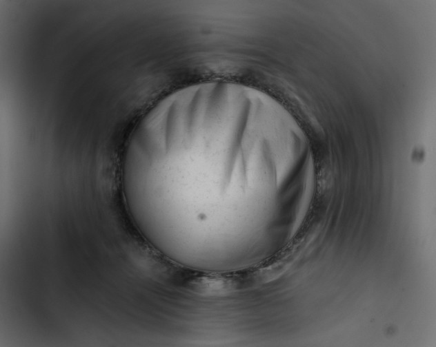 X0000102830464200809021317