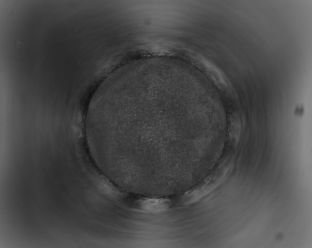 X0000102830465200809021317