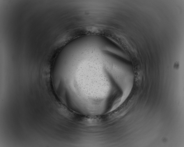 X0000102830466200809021317