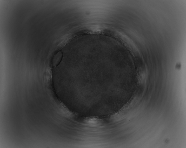 X0000102830467200809021317