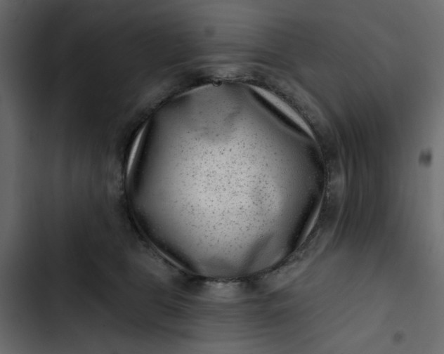 X0000102830469200809021317