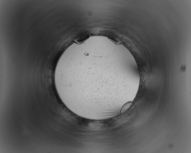 X0000102830470200809021317