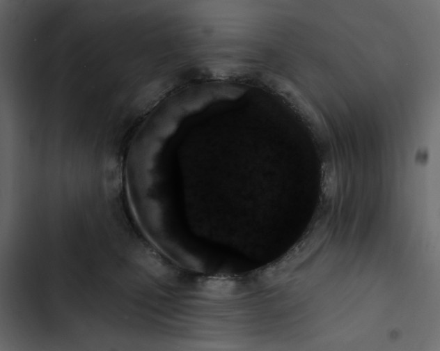 X0000102830471200809021317