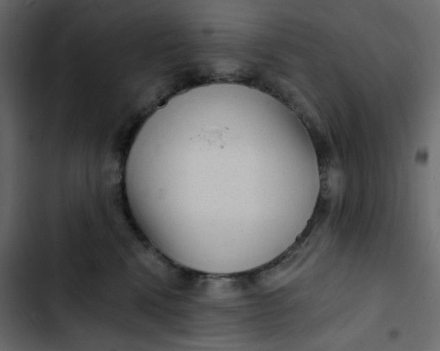 X0000102830472200809021317